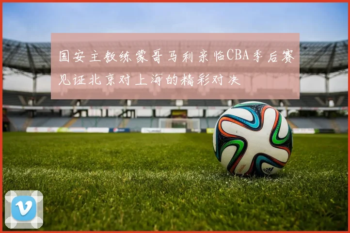 国安主教练蒙哥马利亲临CBA季后赛见证北京对上海的精彩对决