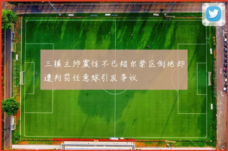 三镇主帅震惊不已绍尔禁区倒地却遭判罚任意球引发争议